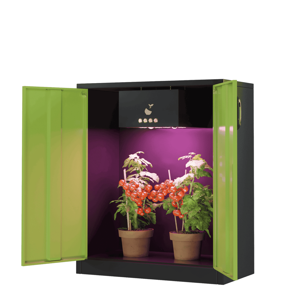 Homegrow Komplettsystem