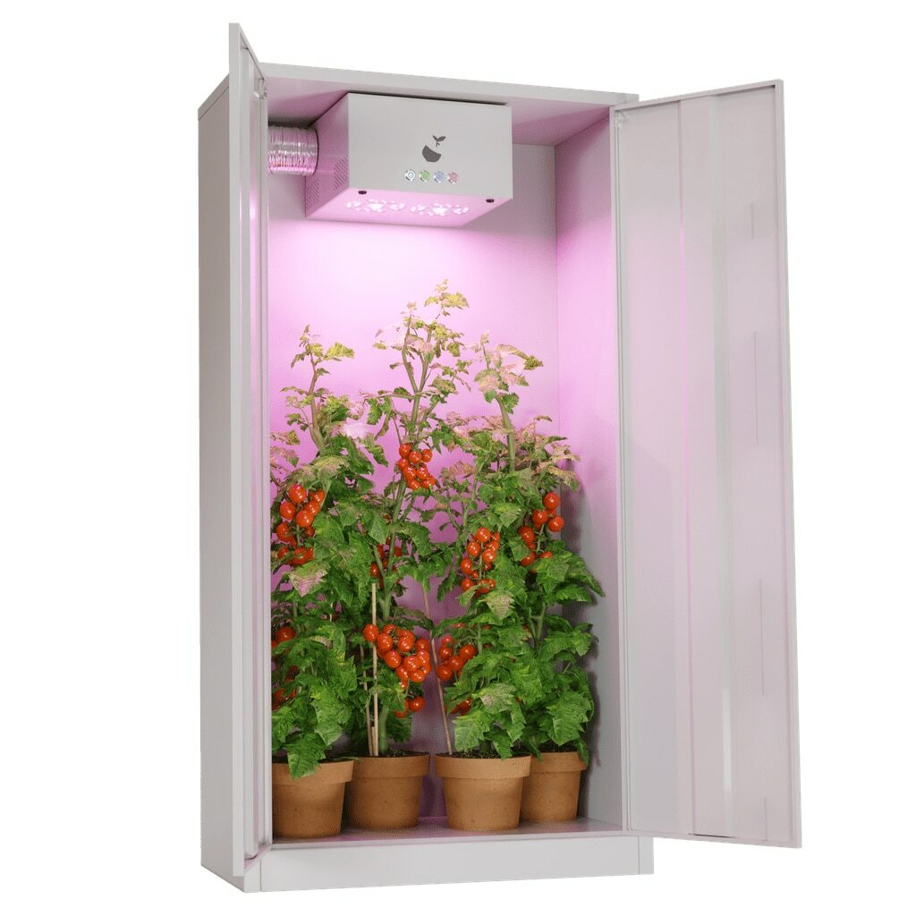 Growbox Grow box