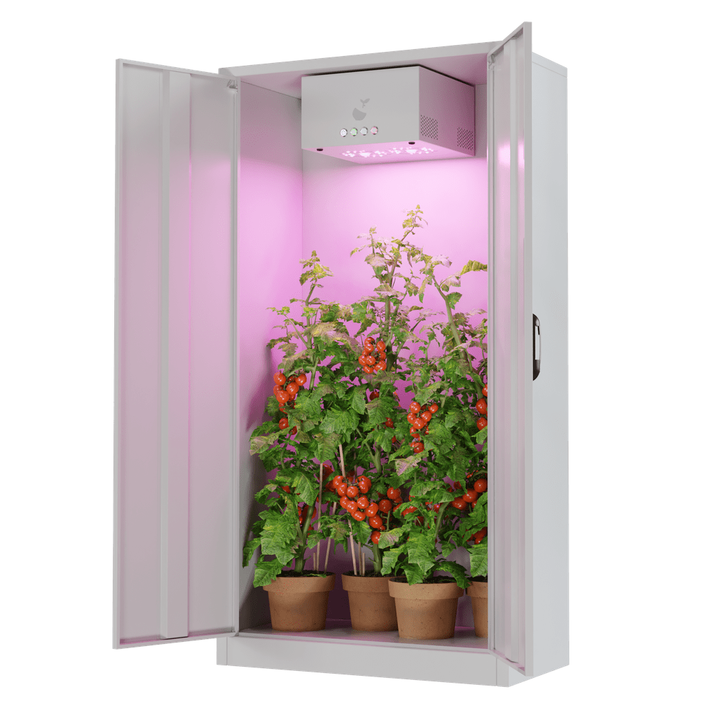 Test Growbox